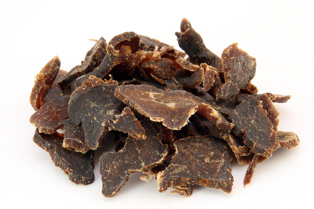 What is Pemmican?